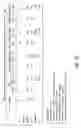 Fig. 40 - Compositions and methods for treating or preventing diseases of body passageways