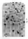 Fig. 79 - Compositions and methods for treating or preventing diseases of body passageways
