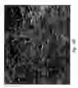 Fig. 86 - Compositions and methods for treating or preventing diseases of body passageways