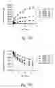Fig. 89 - Compositions and methods for treating or preventing diseases of body passageways