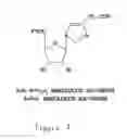 Fig. 02 - Methods and compositions for regulating imidazoline receptors