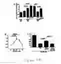 Fig. 08 - Methods and compositions for regulating imidazoline receptors
