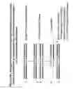 Fig. 18 - RNA interference mediated inhibition of alpha-1 antitrypsin (AAT) gene expression using short interfering nucleic acid (siNA)