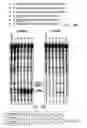 Fig. 06 - Methods for targeting RNA molecules