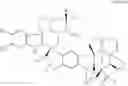 Fig. 02 - Vinca derivatives
