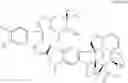Fig. 07 - Vinca derivatives