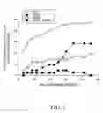 Fig. 02 - Medical uses of a selective estrogen receptor modulator in combination with sex steroid precursors