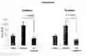 Fig. 01 - Method and pharmaceutical compositions for treating or inhibiting renal dysfunctions, diseases or disorders, particularly in diabetic patients