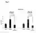 Fig. 02 - Method and pharmaceutical compositions for treating or inhibiting renal dysfunctions, diseases or disorders, particularly in diabetic patients