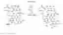 Fig. 09 - Rifamycin analogs and uses thereof