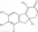 Fig. 74 - Estrogen receptor modulators