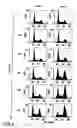 Fig. 08 - Method of treating cancer