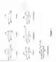 Fig. 02 - Glucoimidazole and polyhydroxycyclohexenyl amine derivatives to treat gaucher disease