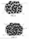 Fig. 02 - Thermally-conductive electrically-insulating polymer-base material