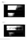Fig. 02 - Adhesive composition