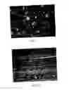 Fig. 02 - Processes for dispersing an impact modifier in a macrocyclic polyester oligomer