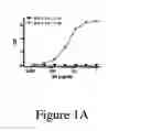 Fig. 02 - IL-23p40 specific antibody
