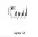 Fig. 09 - IL-23p40 specific antibody