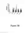 Fig. 10 - IL-23p40 specific antibody