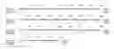 Fig. 44 - Ancestral and COT viral sequences, proteins and immunogenic compositions