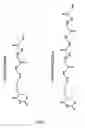Fig. 02 - Real-time nucleic acid detection processes and compositions
