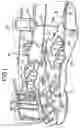 Fig. 02 - Method and apparatus for collecting and processing blood
