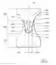 Fig. 04 - Shape-adapted absorbent article having improved absorption capacity