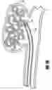 Fig. 05 - Activatable bioactive implantable medical device and method of use