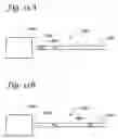 Fig. 15 - Permeable membrane catheters, systems, and methods
