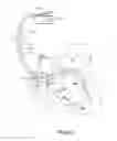 Fig. 03 - Adaptive safety pacing