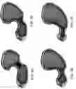 Fig. 04 - Gastrointestinal motility control
