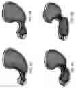 Fig. 07 - Gastrointestinal motility control