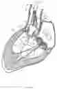 Fig. 09 - Methods and apparatus for endovascularly replacing a heart valve