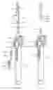 Fig. 41 - Methods and apparatus for endovascularly replacing a heart valve