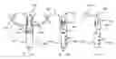 Fig. 46 - Methods and apparatus for endovascularly replacing a heart valve
