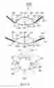 Fig. 09 - Accommodative intraocular lens