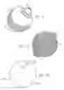 Fig. 07 - One piece snap fit acetabular cup
