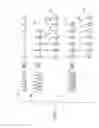 Fig. 08 - Speech synthesis method, speech synthesis system, and speech synthesis program