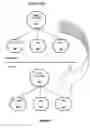 Fig. 06 - Net-effect arrangement inheritance