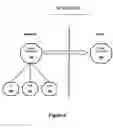 Fig. 07 - Net-effect arrangement inheritance