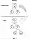 Fig. 17 - Net-effect arrangement inheritance