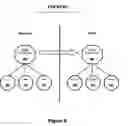 Fig. 09 - Net-effect arrangement inheritance