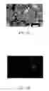 Fig. 12 - Method for generating non-human mammalian chimeric embryo