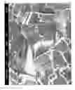 Fig. 12 - Production device and production method for conductive nano-wire