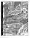 Fig. 22 - Production device and production method for conductive nano-wire