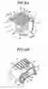 Fig. 07 - Hair trimmer