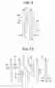 Fig. 09 - Hair trimmer