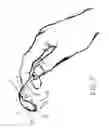 Fig. 06 - Bagel scooper