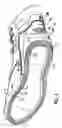 Fig. 04 - Shoe heel protector
