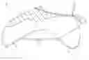 Fig. 01 - Climbing shoe with a tension support sole